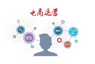 月薪過萬電商運營必備 技術推廣的核心專業技能