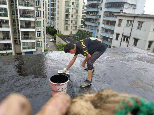 惠州市博羅外墻高空補漏師傅,博羅防水補漏工程公司